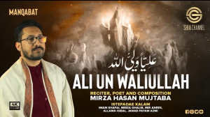 5starstudio-portfolio-aliun-waliullah