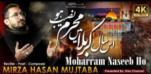5starstudio-portfolio-moharram-naseeb-ho