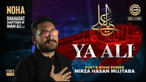 5starstudio-portfolio-ya-ali